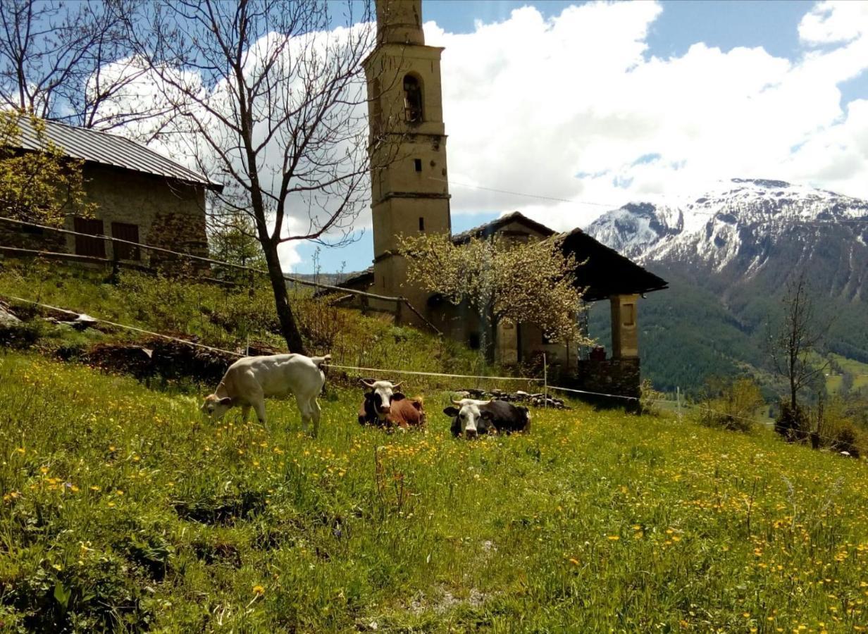 Agri-B&B Lou Col Canosio Екстер'єр фото