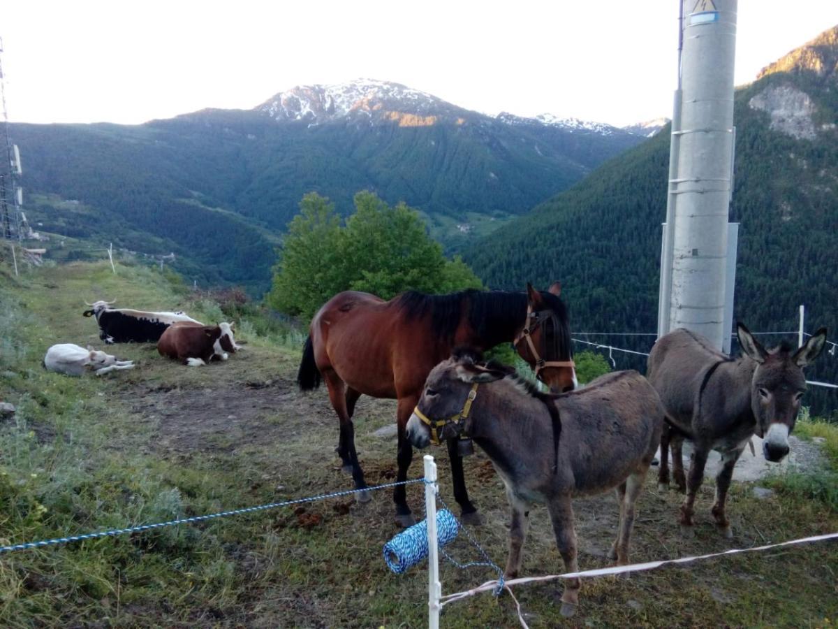 Agri-B&B Lou Col Canosio Екстер'єр фото