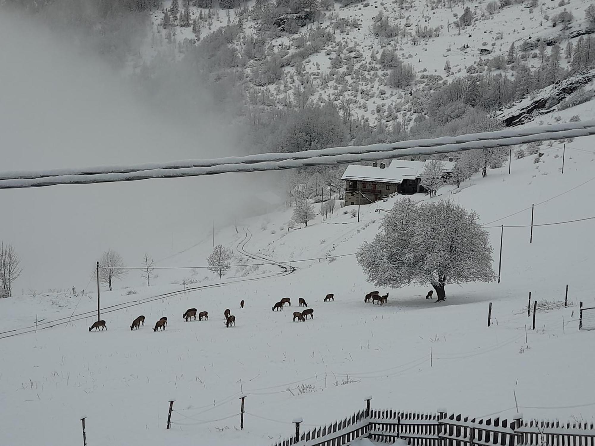 Agri-B&B Lou Col Canosio Екстер'єр фото